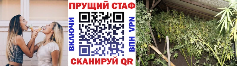 Цена Кашин A-PVP  Мефедрон  ГАШИШ  МЕТАМФЕТАМИН  Канабис  Псилоцибиновые грибы 