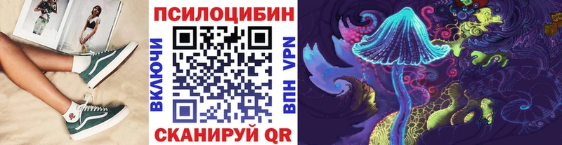 Галлюциногенные грибы мицелий  Кашин 